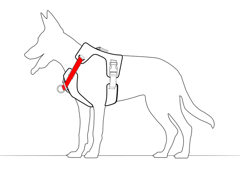 Fits like a harness