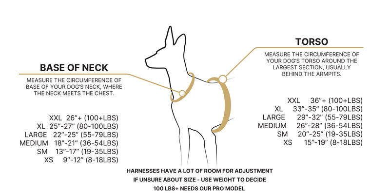 DUO sizing chart — neck and torso measurement guide
