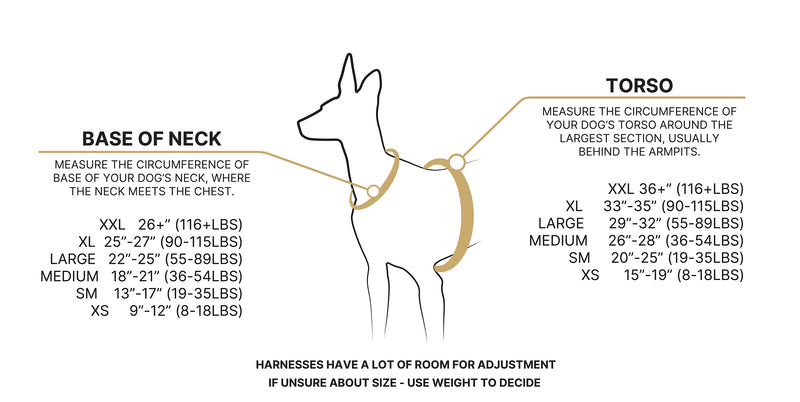 DUO sizing chart — neck and torso measurement guide