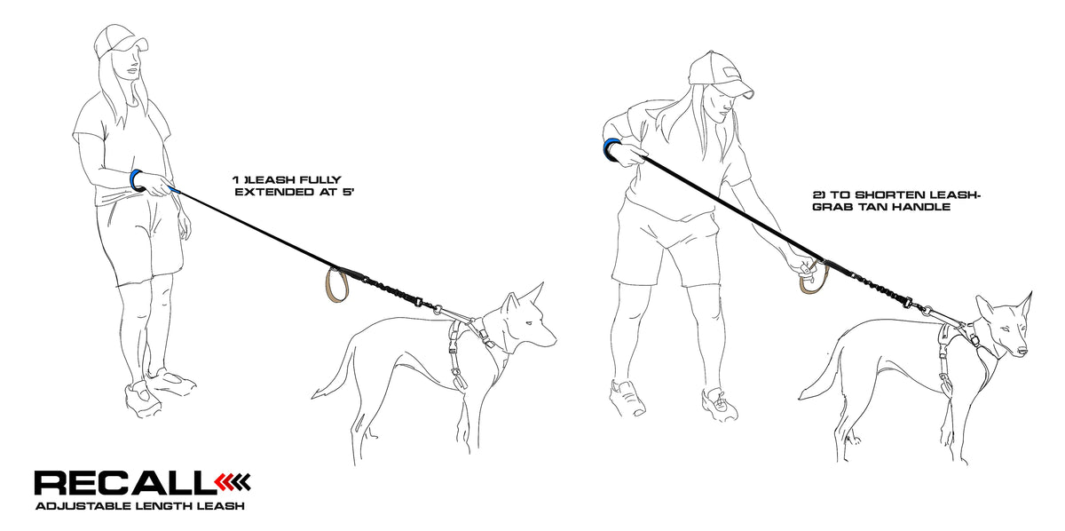 How RECALL shifts length under load