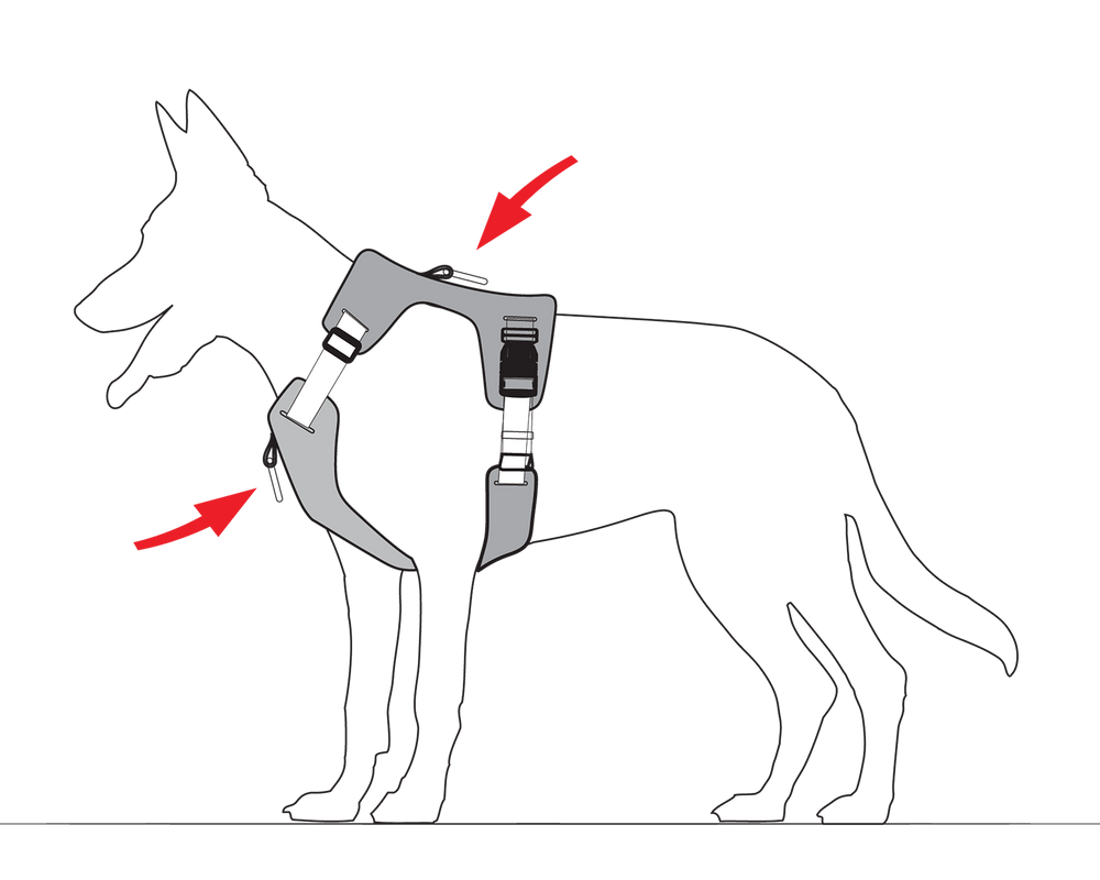 Security harness