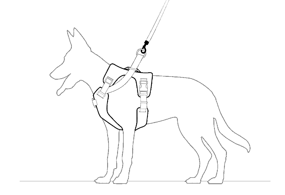 No-escape cinch mechanism