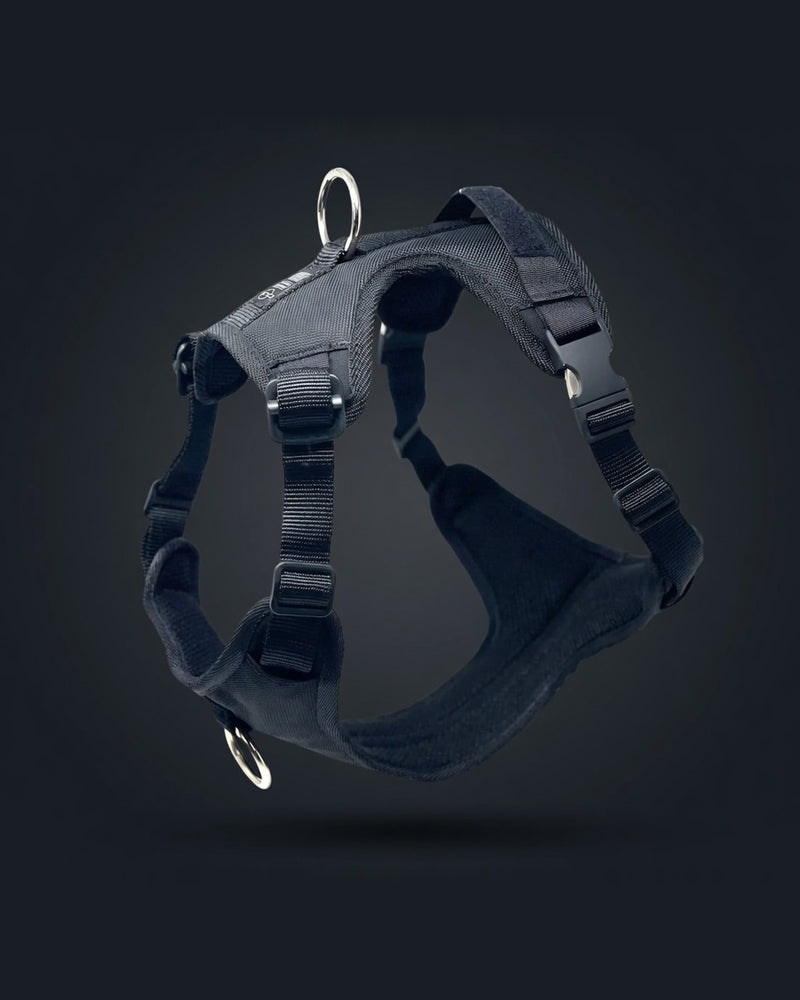 DUO PRO Eclipse Adventure/Car Harness