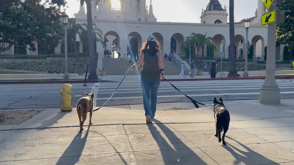 DON'T SKIP THE WALK