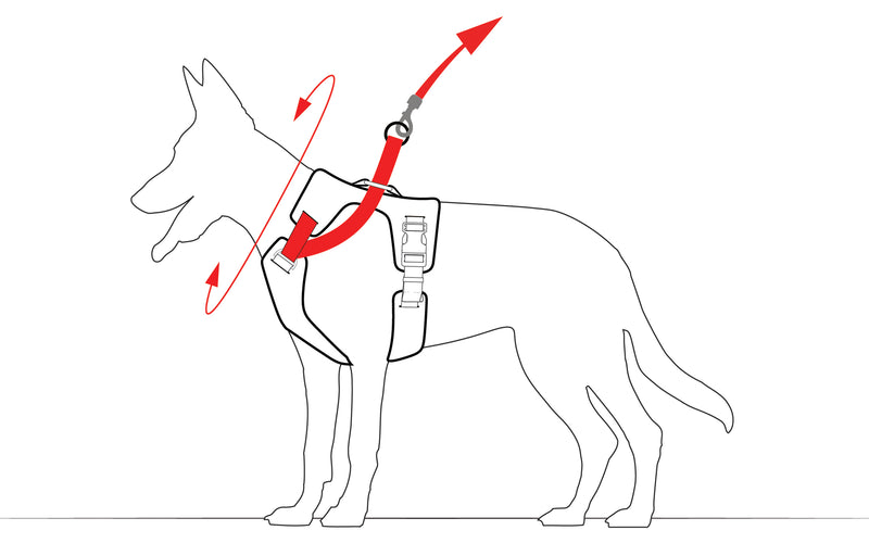 Adapts to their body
