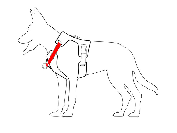 Fits like a standard harness