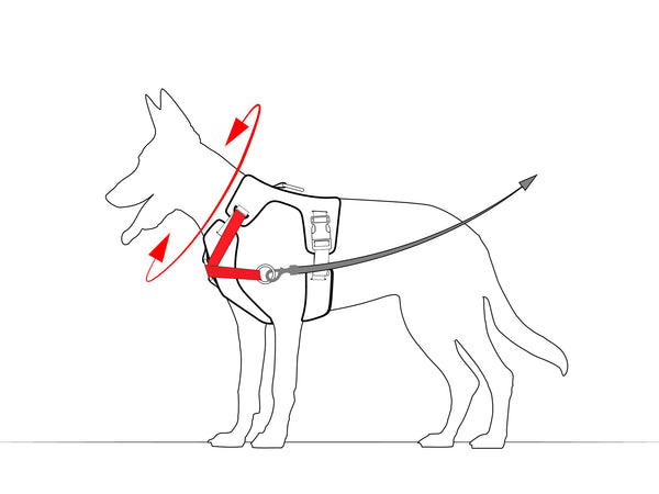Controls like a collar