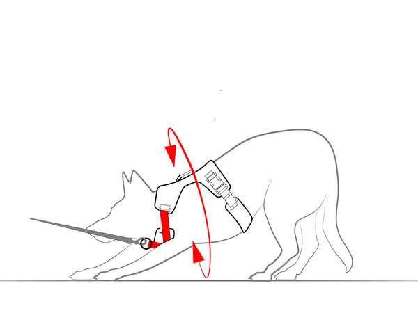 Cinches against escape and pulling