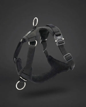 DUO 'DIRECT' No Pull Dog Harness