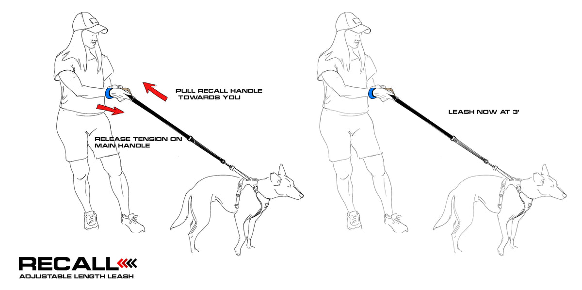 How RECALL shifts length under load