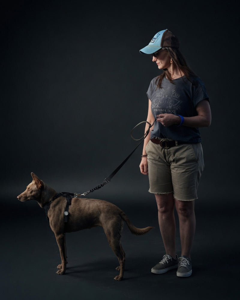 RECALL Leash detail