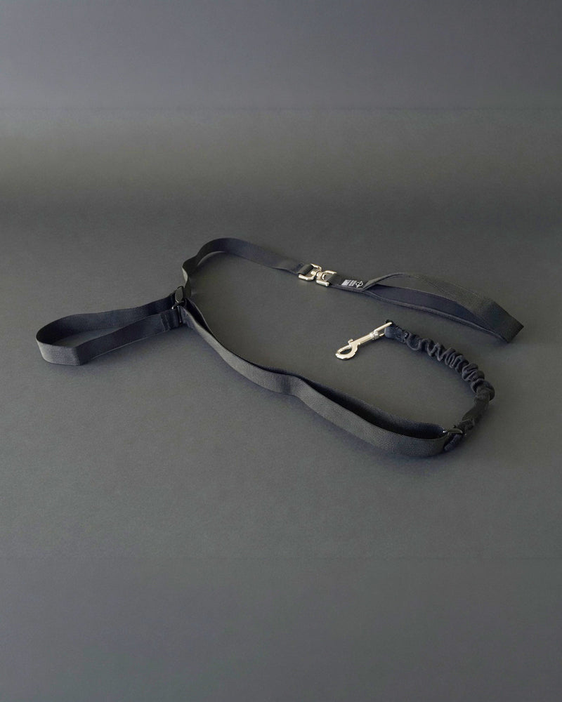 DUO RECALL Traffic Leash