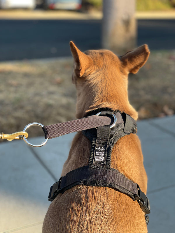 DUO 'ADAPT LIGHT' NO SLIP HARNESS