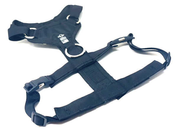 DUO 'DIRECT LIGHT' NO PULL HARNESS