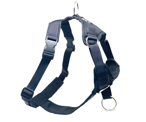 DUO 'DIRECT LIGHT' NO PULL HARNESS