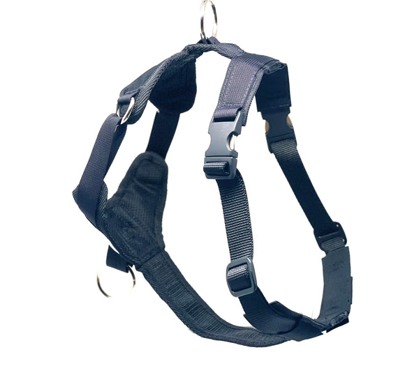 DUO 'DIRECT LIGHT' NO PULL HARNESS