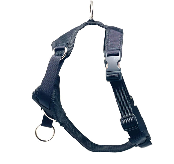 DUO 'DIRECT LIGHT' NO PULL HARNESS