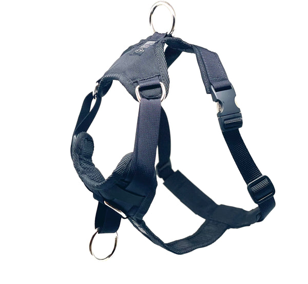 DUO 'DIRECT LIGHT' NO PULL HARNESS