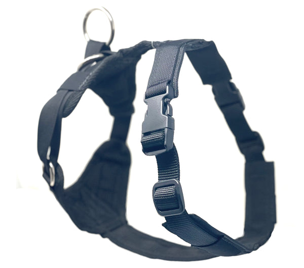 DUO 'ADAPT LIGHT' NO SLIP HARNESS