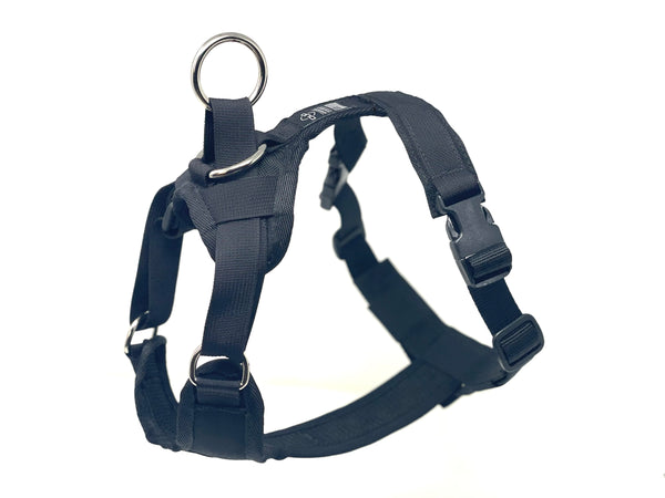 DUO 'ADAPT LIGHT' NO SLIP HARNESS