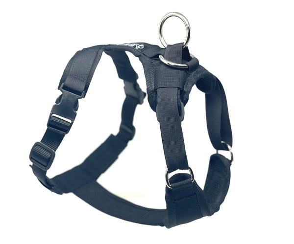 DUO 'ADAPT LIGHT' NO SLIP HARNESS