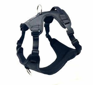 DUO 'ECLIPSE' Adventure/Car Harness