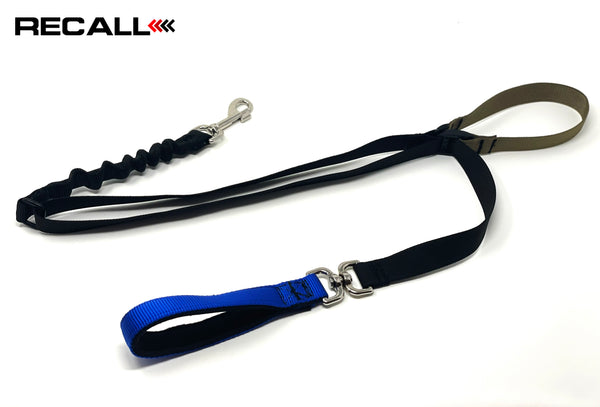 RECALL ADJUSTABLE LENGTH LEASH