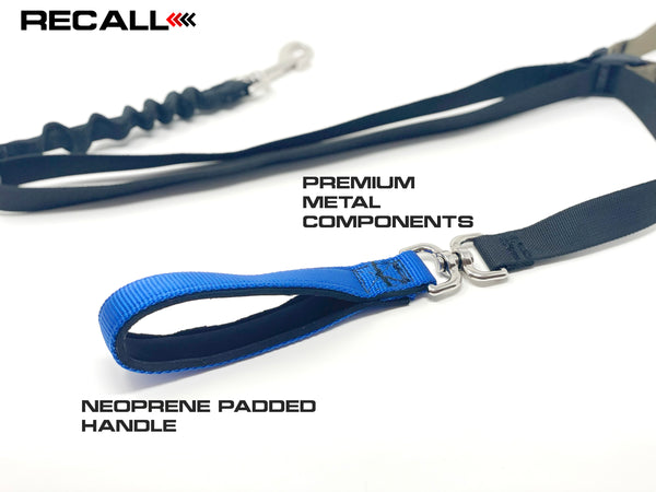 RECALL ADJUSTABLE LENGTH LEASH