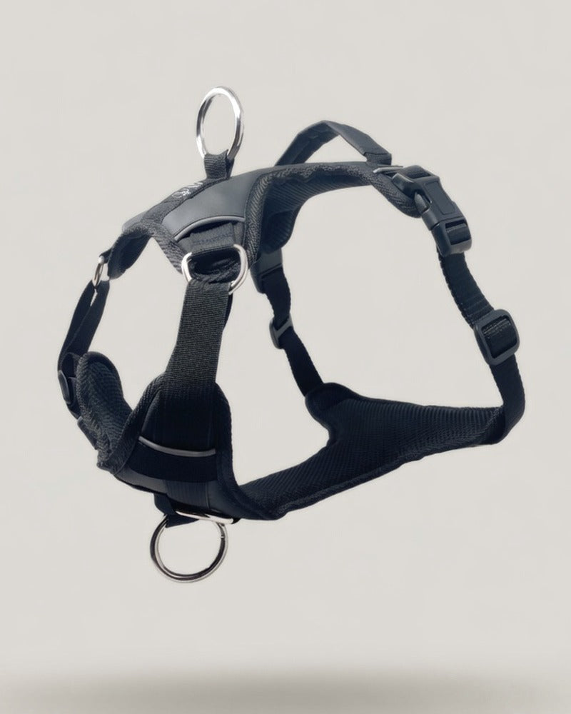 No-Pull, No-Escape Harness