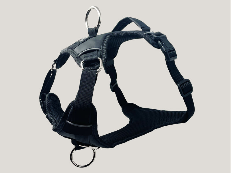 DUO Essentials harness