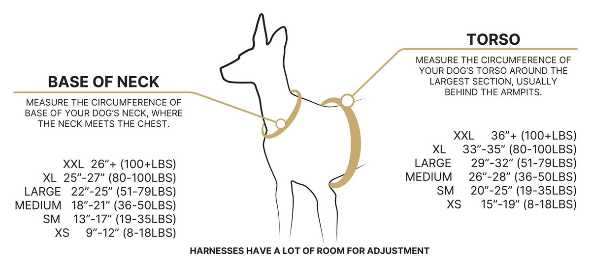 Where to measure your dog: base of neck and widest part of the torso