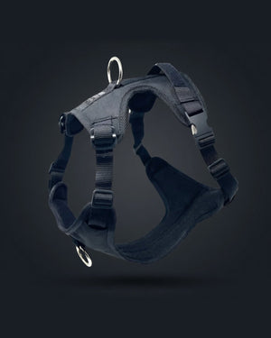 DUO 'ECLIPSE' Adventure/Car Harness