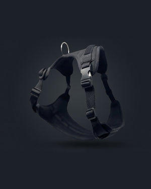 DUO 'ECLIPSE' Adventure/Car Harness