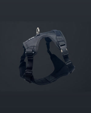 DUO 'ECLIPSE' Adventure/Car Harness