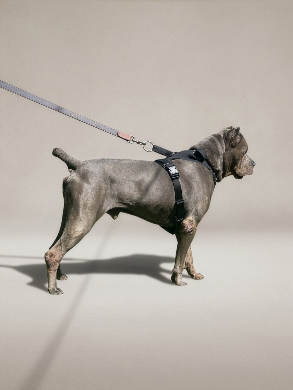 Harness under load