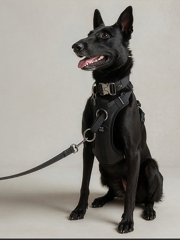 DUO harness detail
