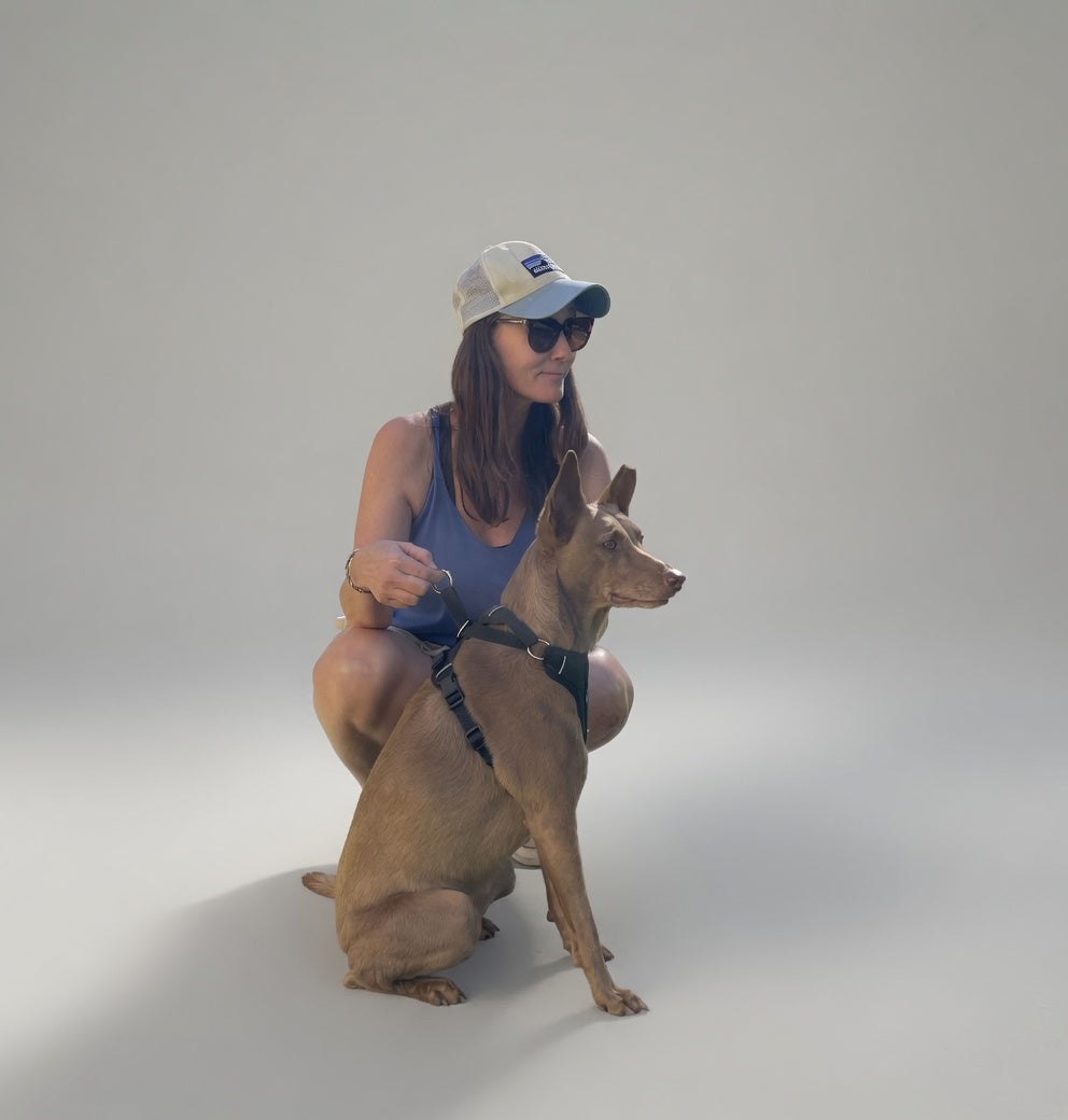 DUO Essentials Harness