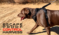 dog,dogs,k9,canine,pups,made,hound,control,secure,running,bag,belt,collar,leash,harness,duo,gear,escape,proof,escape-proof,proof,patent,patented,pull,slip,anti,adaptive,adapt,direct,fit,safety,safe,humane,tech,technology,cinch,technical,USA,equipment