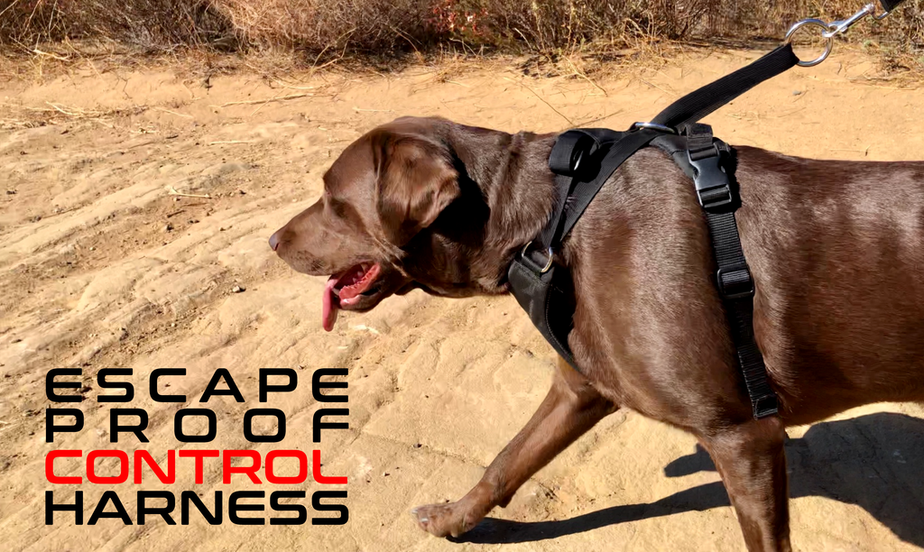 Harness for dogs that slip deals out