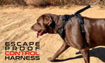 dog,dogs,k9,canine,pups,made,hound,control,secure,running,bag,belt,collar,leash,harness,duo,gear,escape,proof,escape-proof,proof,patent,patented,pull,slip,anti,adaptive,adapt,direct,fit,safety,safe,humane,tech,technology,cinch,technical,USA,equipment