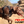 photo of a brown chocolate lab on a so-cal hot day hike wearing a black Duo Direct no-pull escape-proof dog harness made in the USA with a lifetime warranty