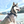 dog,dogs,k9,canine,pups,made,hound,control,secure,running,bag,belt,collar,leash,harness,duo,gear,escape,proof,escape-proof,proof,patent,patented,pull,slip,anti,adaptive,adapt,direct,fit,safety,safe,humane,tech,technology,cinch,technical,USA,equipment