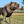 dog,dogs,k9,canine,pups,made,hound,control,secure,running,bag,belt,collar,leash,harness,duo,gear,escape,proof,escape-proof,proof,patent,patented,pull,slip,anti,adaptive,adapt,direct,fit,safety,safe,humane,tech,technology,cinch,technical,USA,equipment