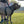 Large Mastiff standing on grass field wearing a Duo Adapt escape-proof security dog harness and Duo dog collar