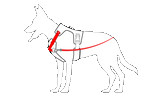 Animated GIF line drawing of a duo direct no-pull escape-proof dog harness on a dog demonstrating patented cinching action