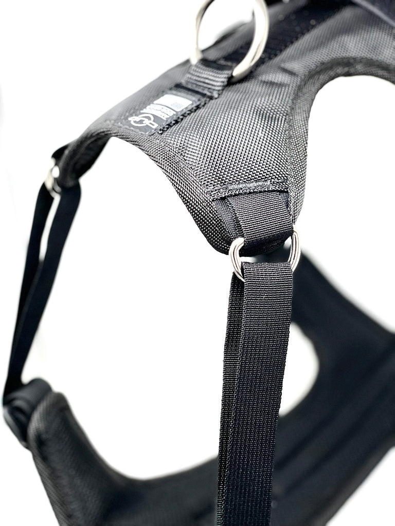 Double Strap Harness – Biohazard Candy