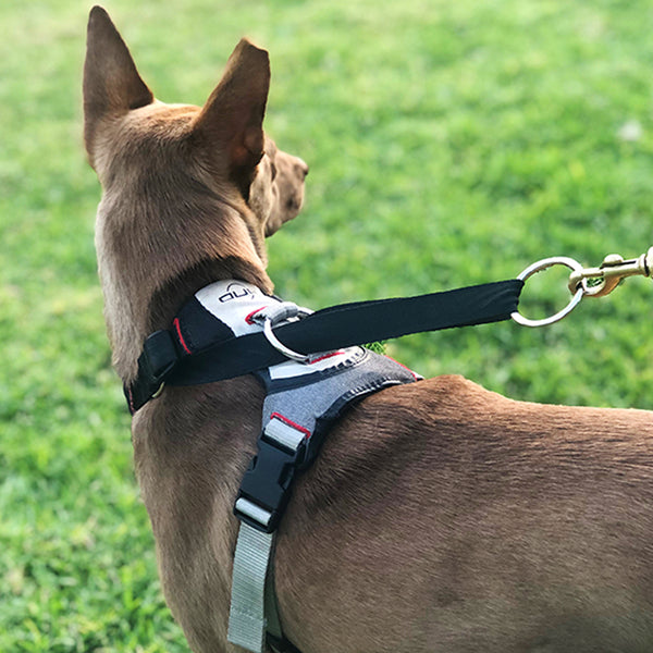 dog,dogs,k9,canine,pups,made,hound,control,secure,running,bag,belt,collar,leash,harness,duo,gear,escape,proof,escape-proof,proof,patent,patented,pull,slip,anti,adaptive,adapt,direct,fit,safety,safe,humane,tech,technology,cinch,technical,USA,equipment