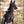 dog,dogs,k9,canine,pups,made,hound,control,secure,running,bag,belt,collar,leash,harness,duo,gear,escape,proof,escape-proof,proof,patent,patented,pull,slip,anti,adaptive,adapt,direct,fit,safety,safe,humane,tech,technology,cinch,technical,USA,equipment
